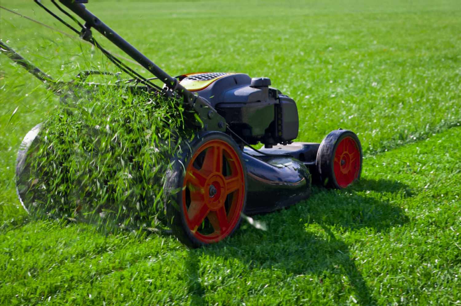 Burleson TX, Lawn Care