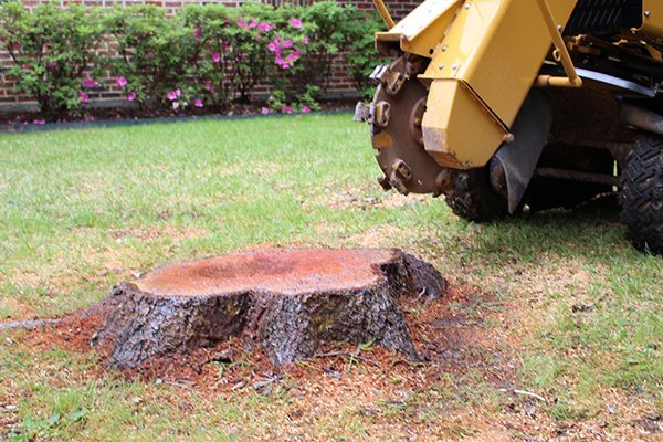 Stump Grinding Company Adwick Le Street